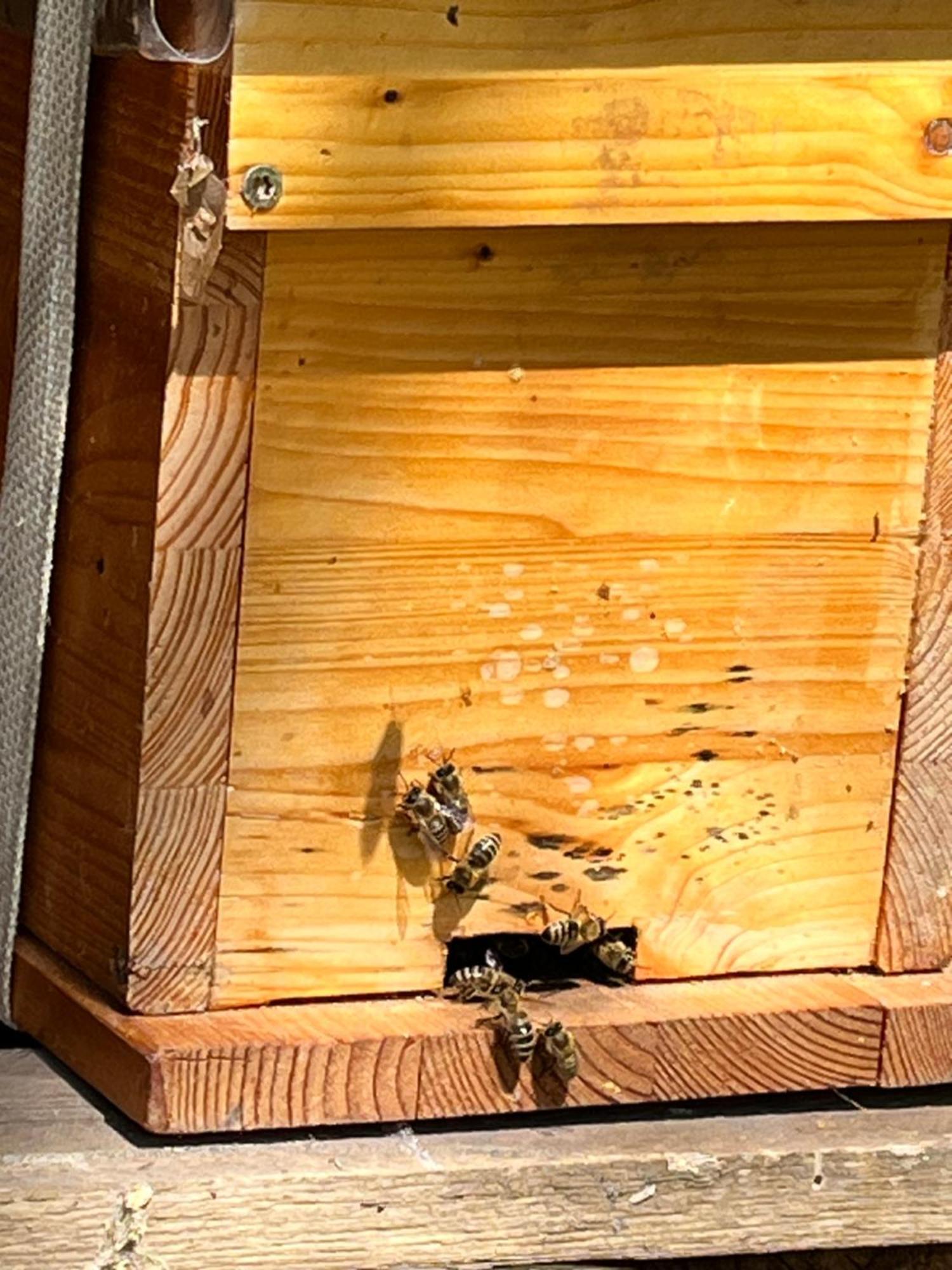 Wald Ist Zukunft Hotel Bernbeuren Екстериор снимка