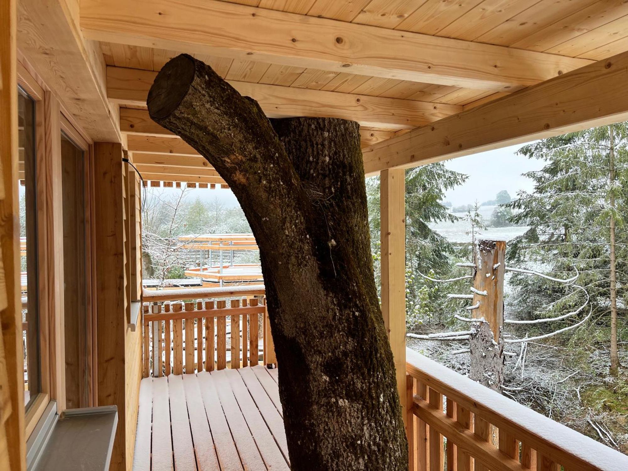 Wald Ist Zukunft Hotel Bernbeuren Екстериор снимка