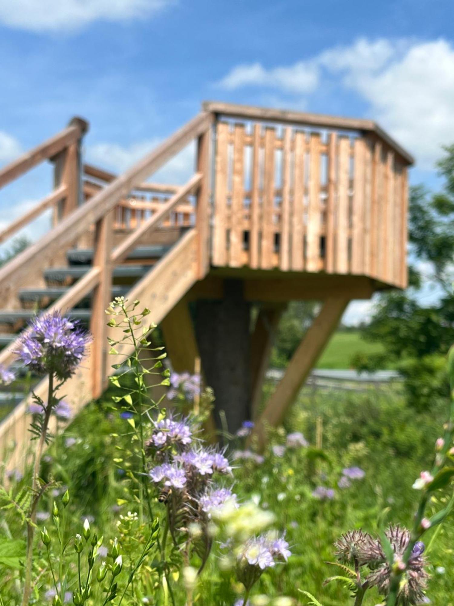 Wald Ist Zukunft Hotel Bernbeuren Екстериор снимка