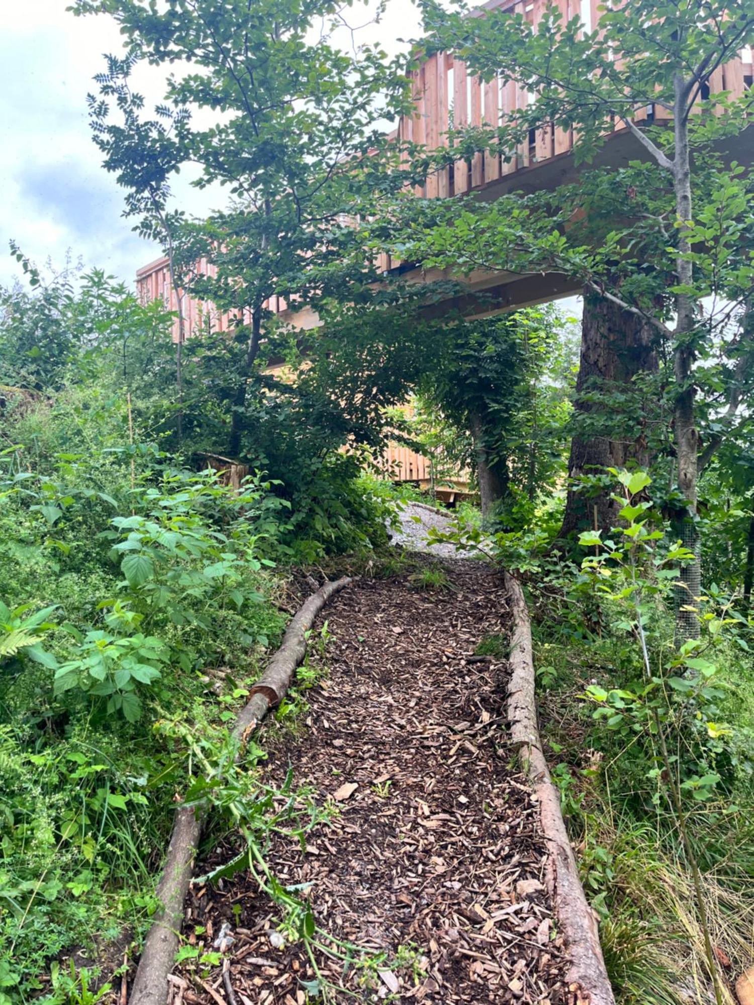 Wald Ist Zukunft Hotel Bernbeuren Екстериор снимка