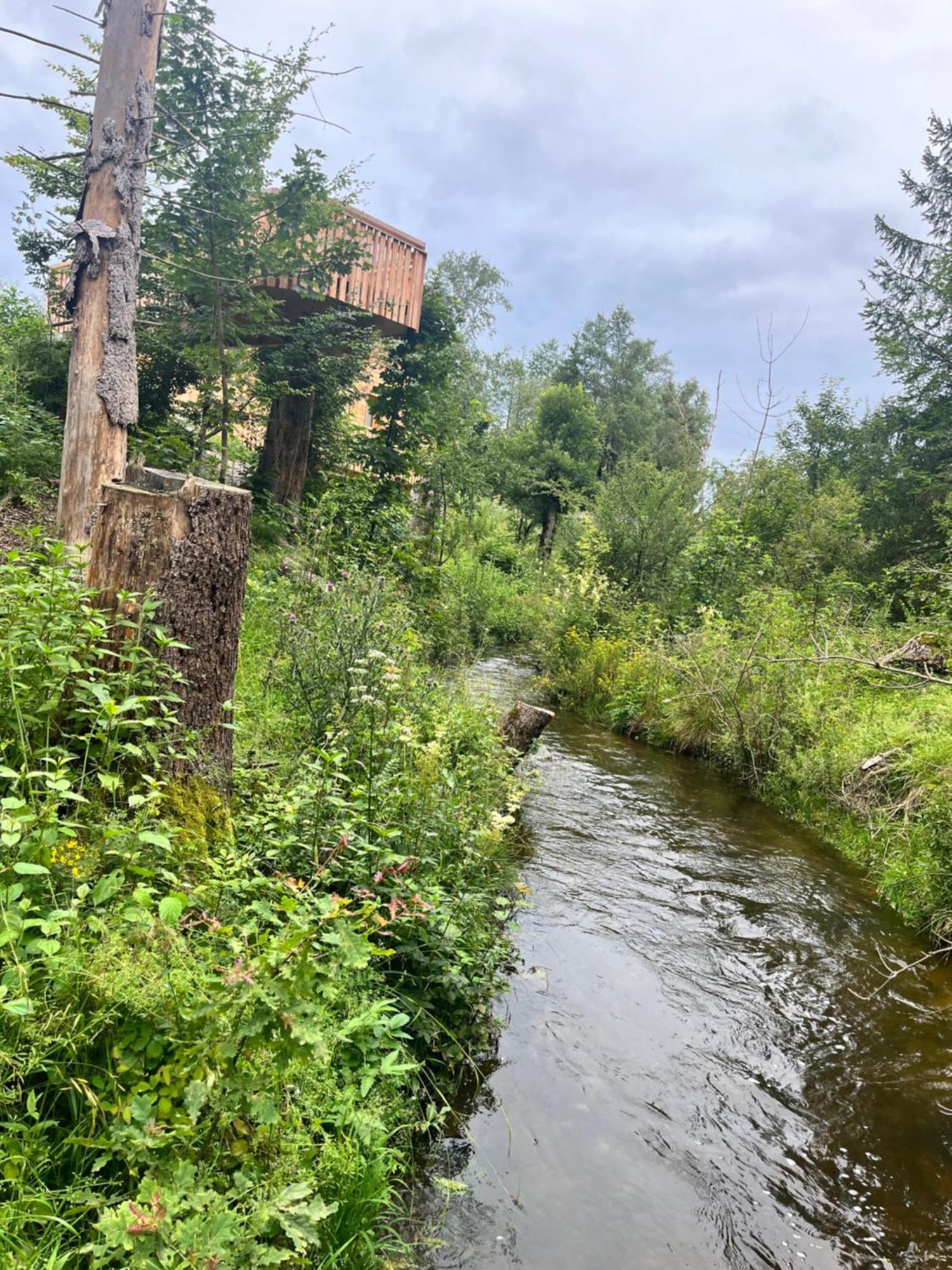 Wald Ist Zukunft Hotel Bernbeuren Екстериор снимка