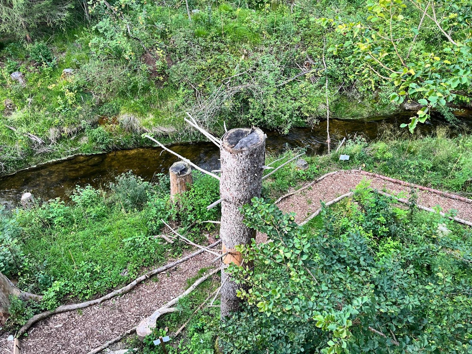 Wald Ist Zukunft Hotel Bernbeuren Екстериор снимка