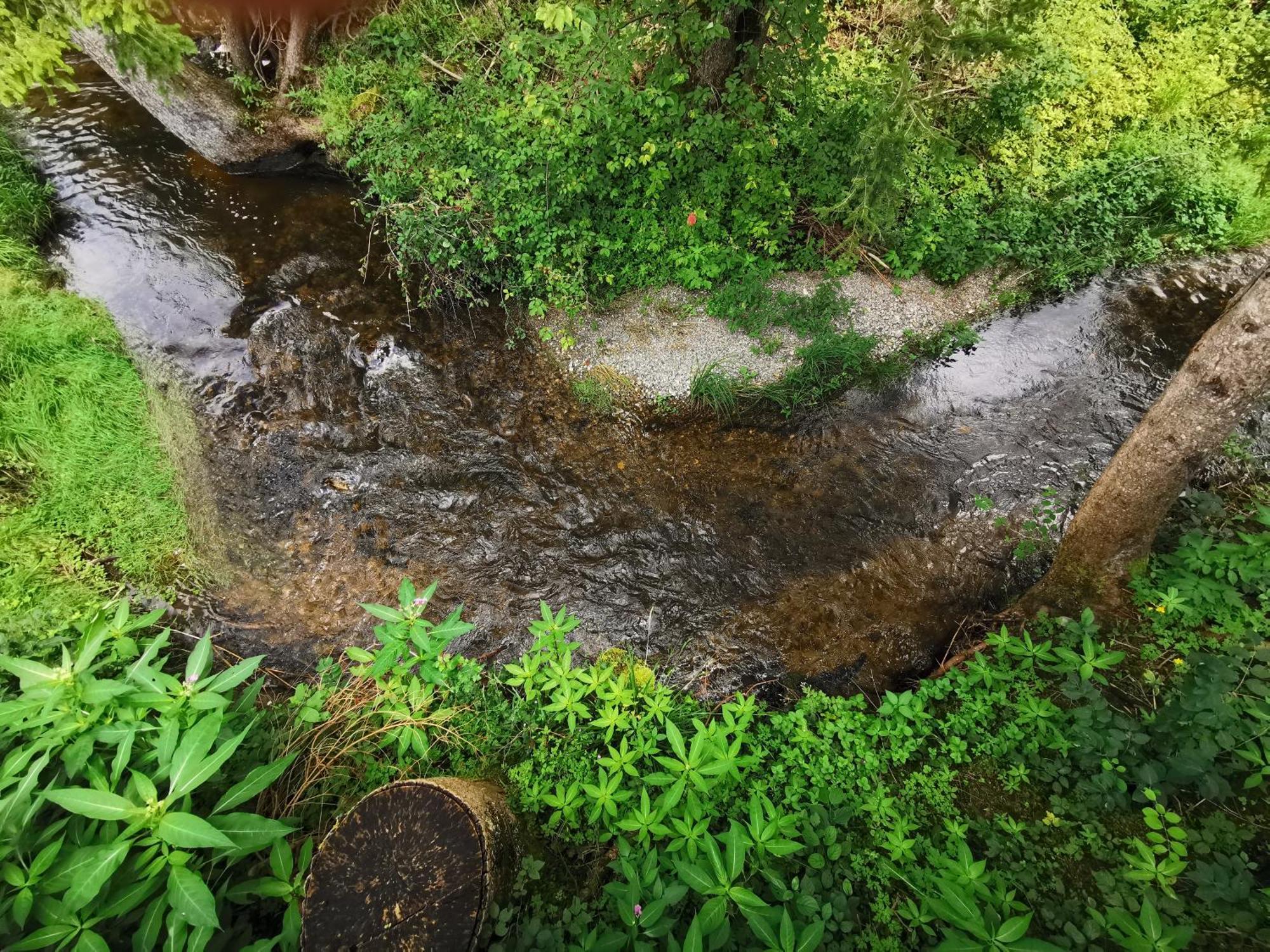 Wald Ist Zukunft Hotel Bernbeuren Екстериор снимка