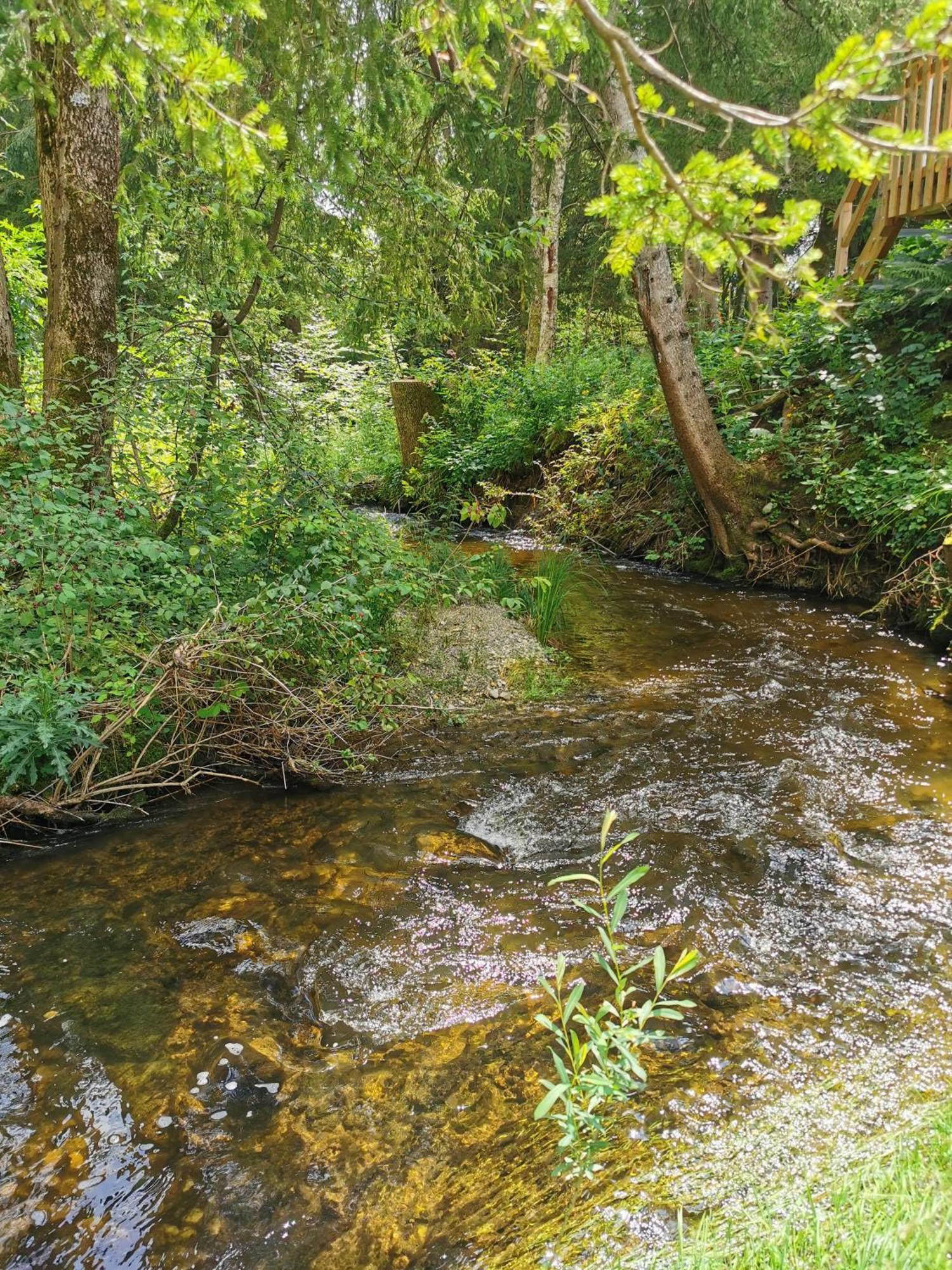Wald Ist Zukunft Hotel Bernbeuren Екстериор снимка