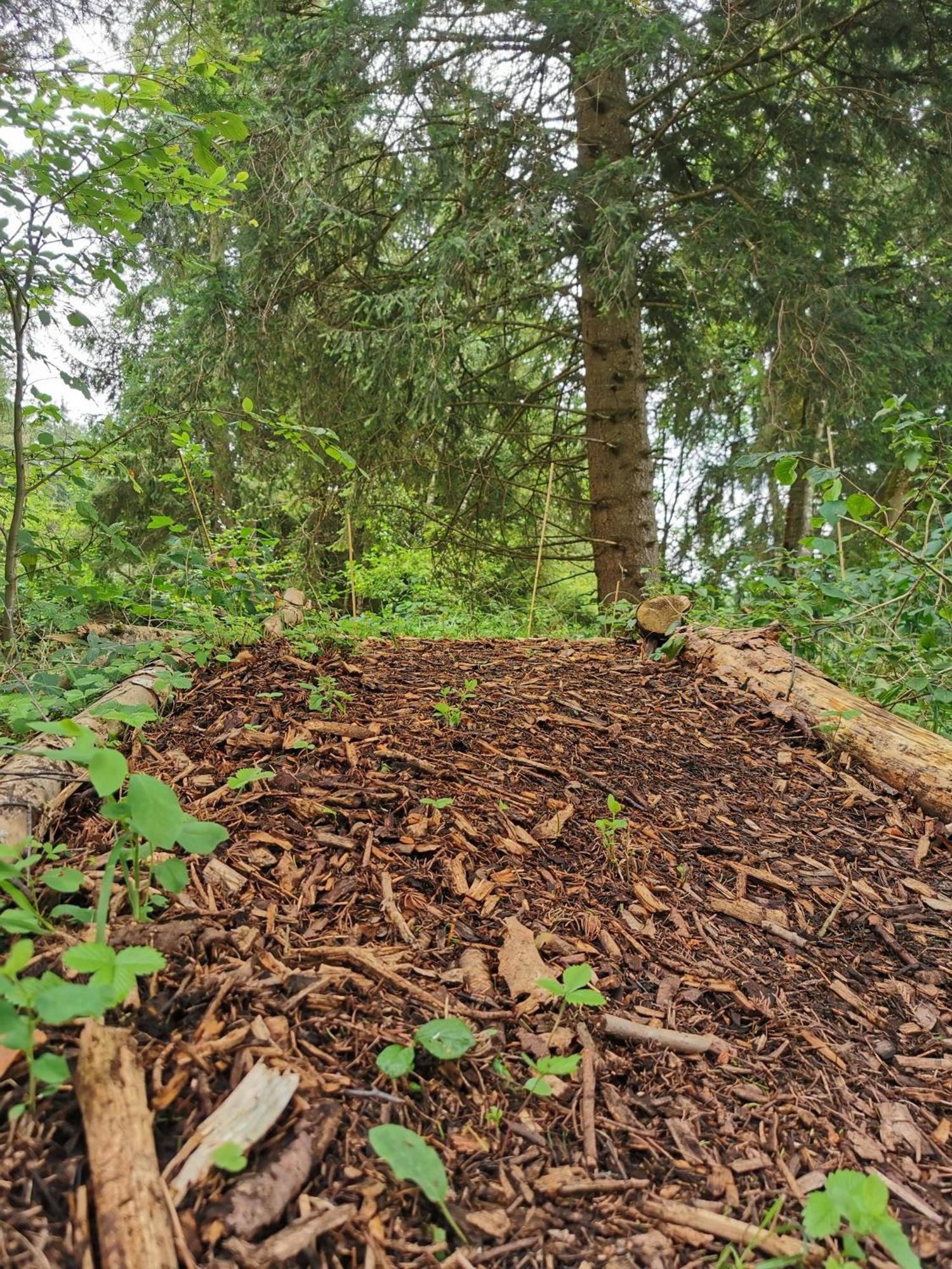 Wald Ist Zukunft Hotel Bernbeuren Екстериор снимка