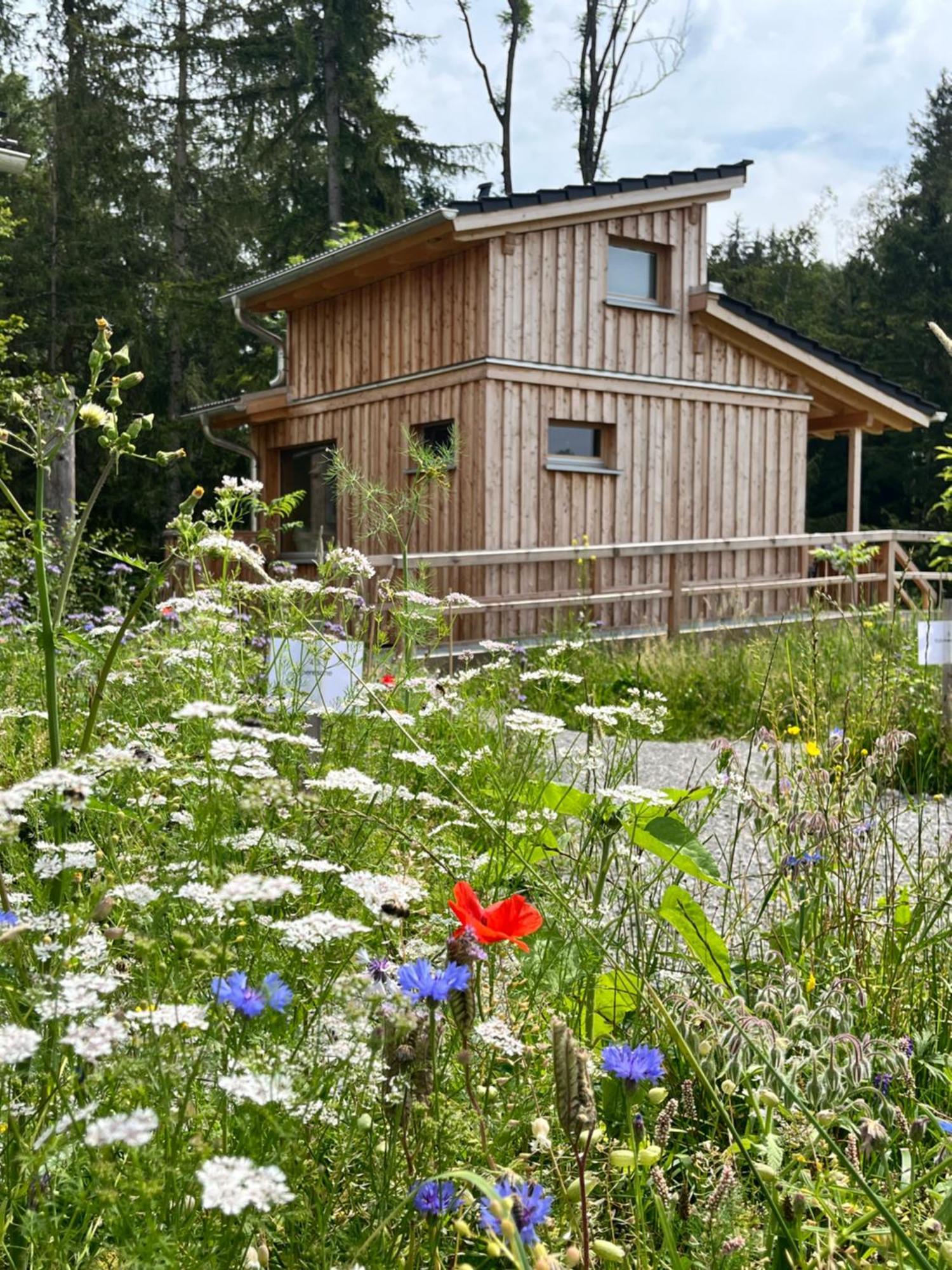 Wald Ist Zukunft Hotel Bernbeuren Екстериор снимка