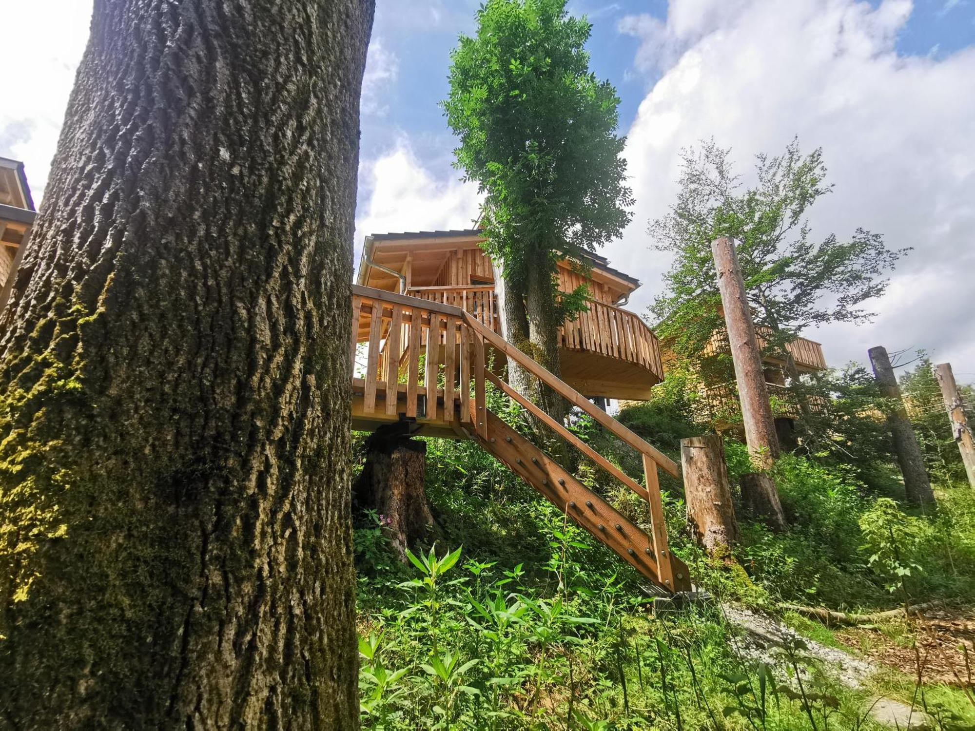 Wald Ist Zukunft Hotel Bernbeuren Екстериор снимка