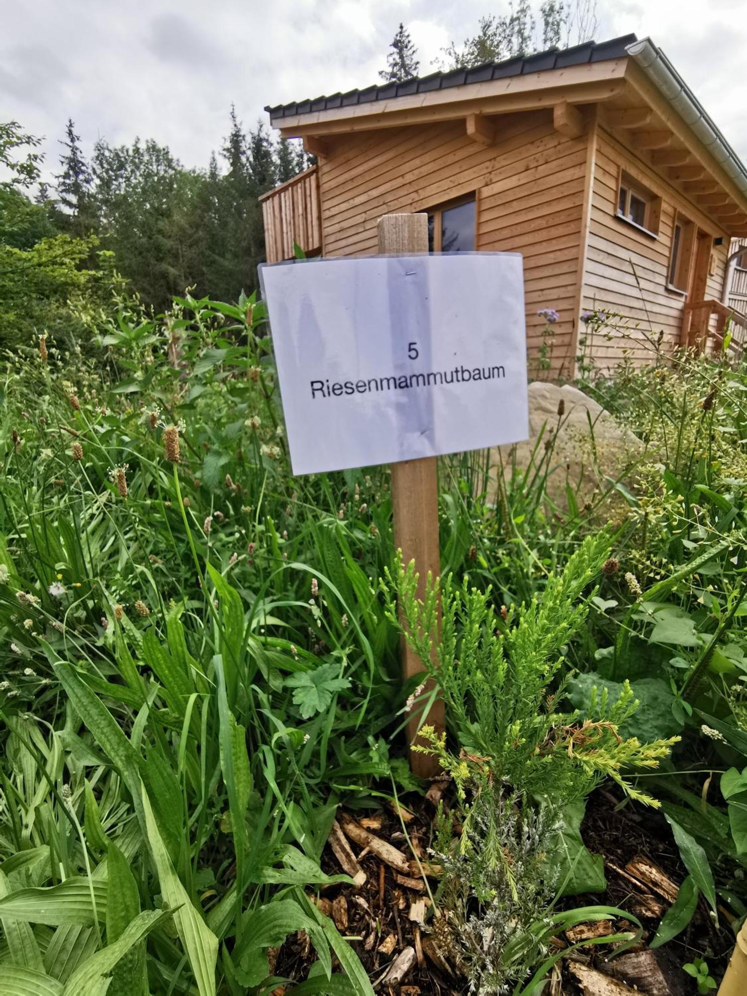 Wald Ist Zukunft Hotel Bernbeuren Екстериор снимка
