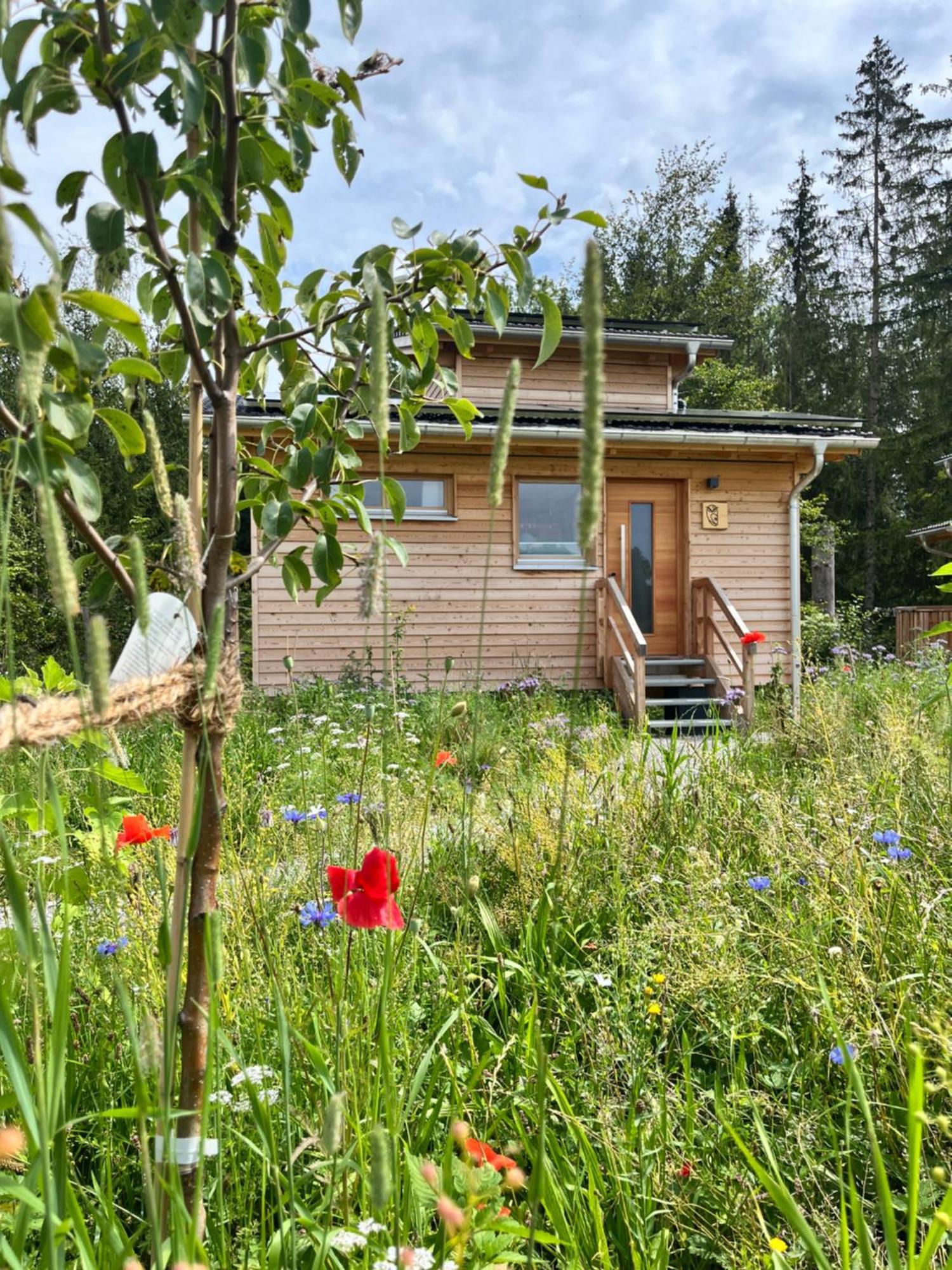 Wald Ist Zukunft Hotel Bernbeuren Екстериор снимка