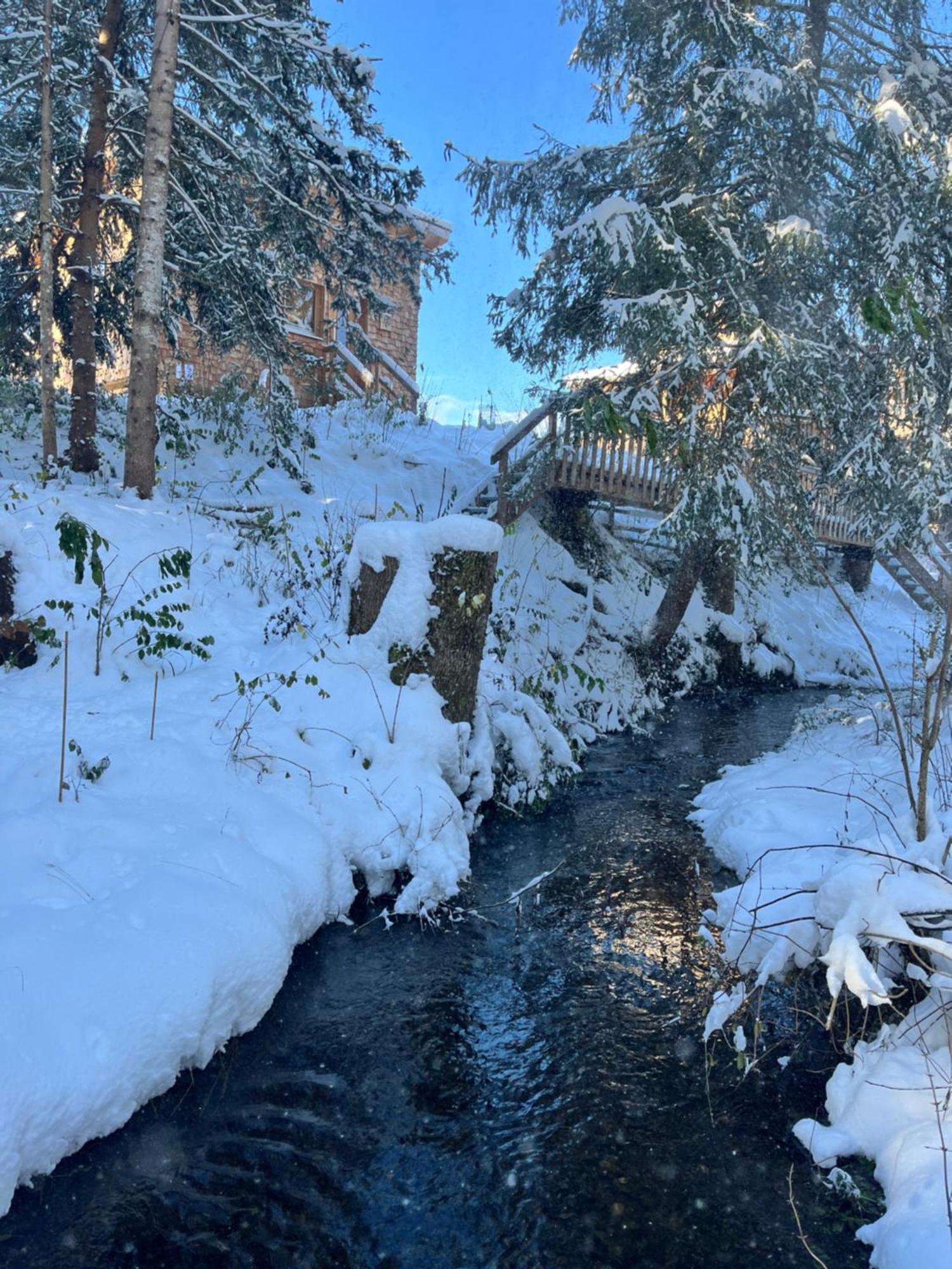 Wald Ist Zukunft Hotel Bernbeuren Екстериор снимка