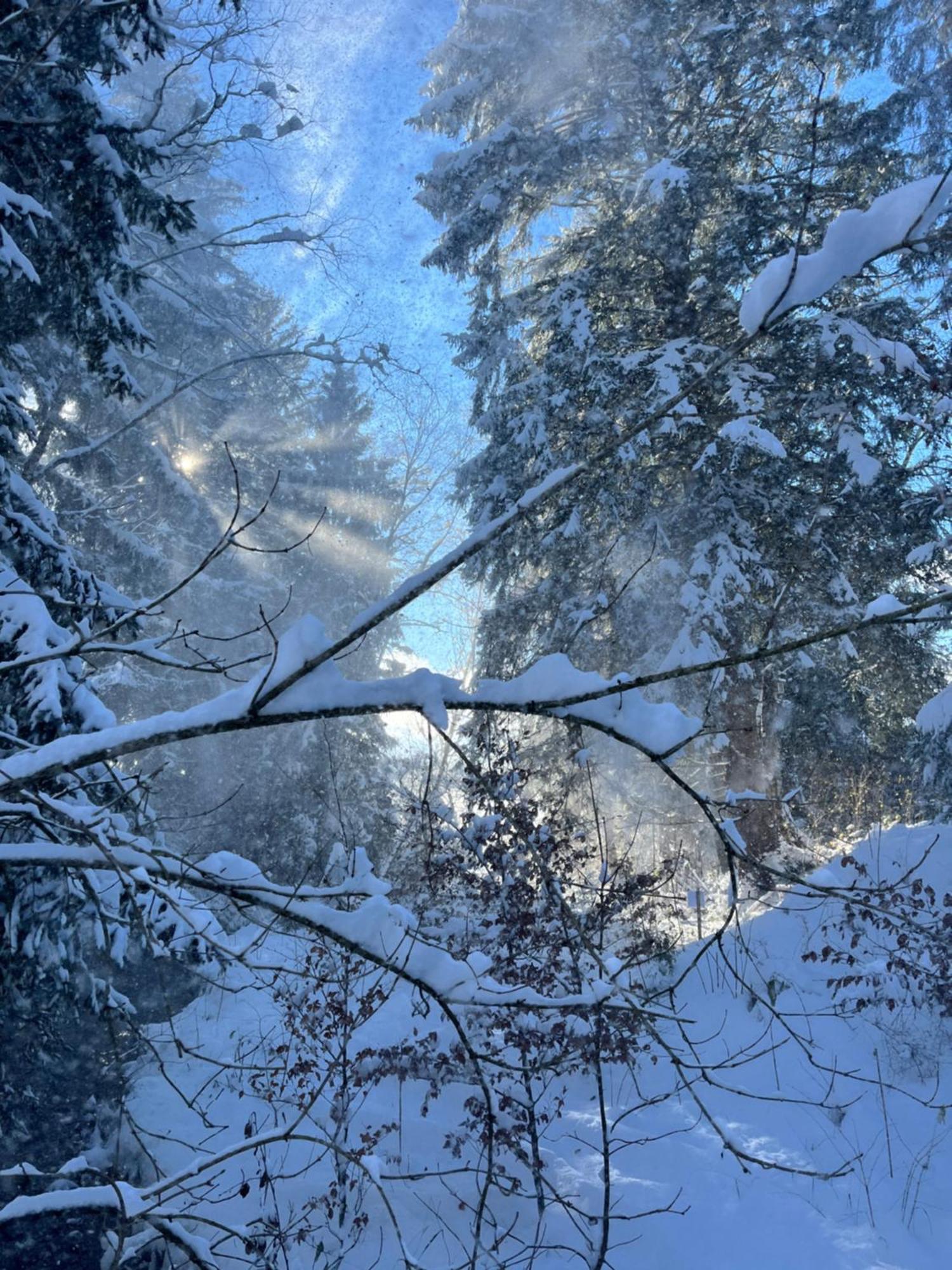 Wald Ist Zukunft Hotel Bernbeuren Екстериор снимка
